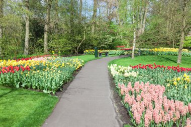 ilkbaharda Hollandalı Bahçe keukenhof