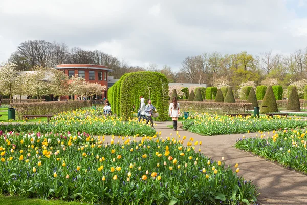 Keukenhof Çiçek Bahçesi — Stok fotoğraf