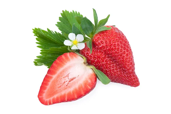 Erdbeere in Nahaufnahme — Stockfoto