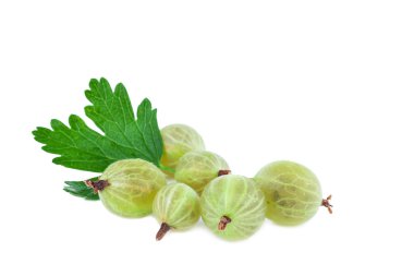 bektaşi izole