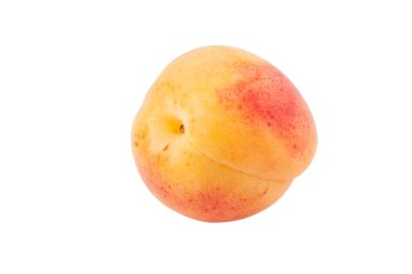 Kayısı izole kesme