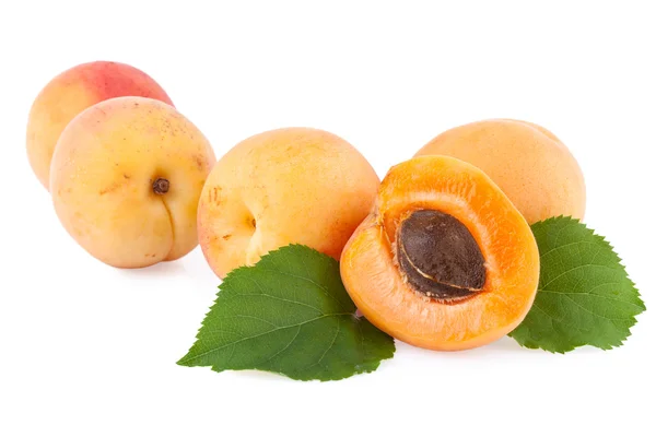 Ripe Apricots isolated on white — Stock Photo, Image