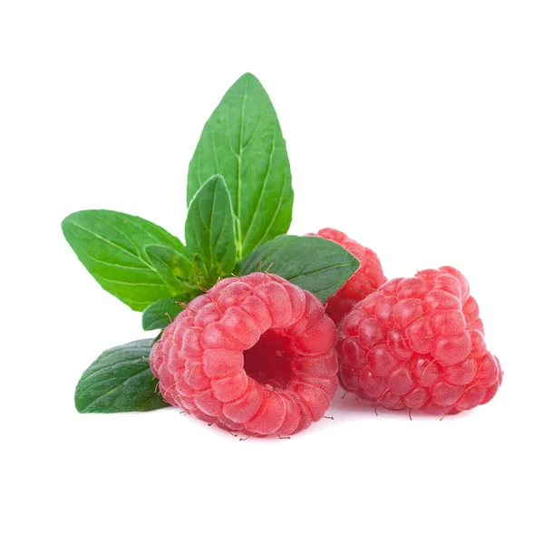 Ripe raspberries with mint leaf — Stock Photo, Image