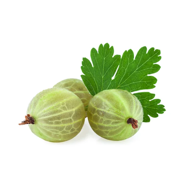 Gooseberry hijau dengan daun — Stok Foto