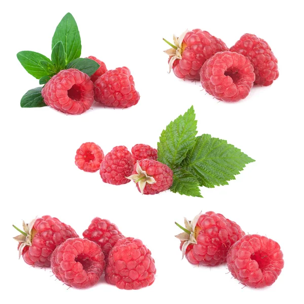 Raspberries set — Stock Photo, Image