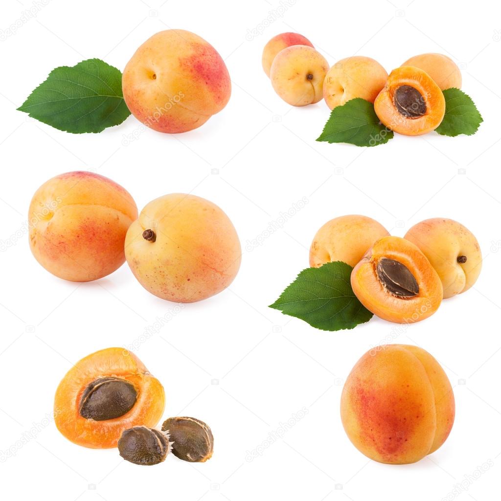 Set of ripe apricots with leaf