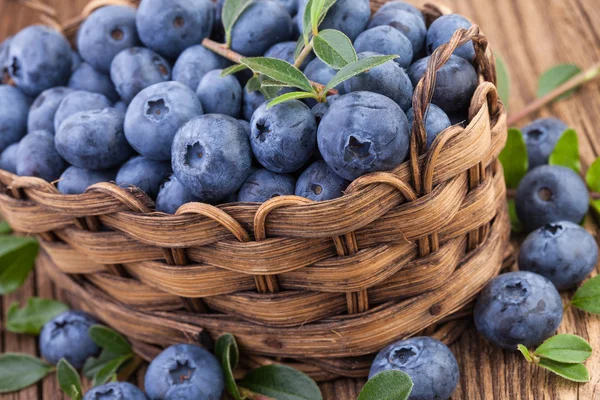 Blaubeeren in Nahaufnahme — Stockfoto