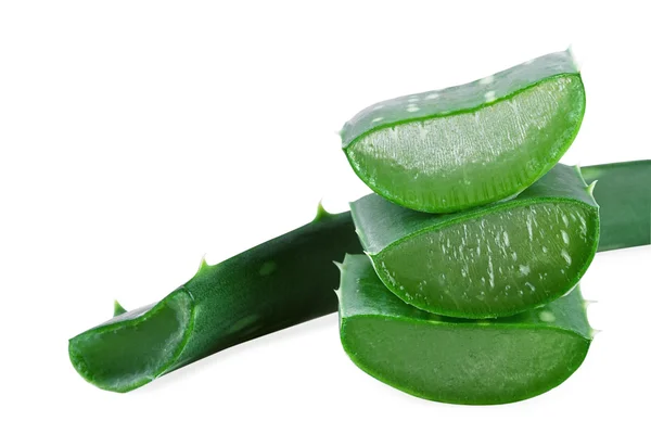 Aloe vera list. izolované na bílém — Stock fotografie