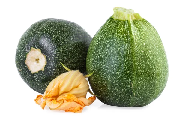 Zucchini rund — Stockfoto