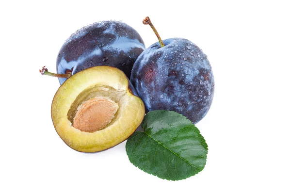 Fresh plums fruit on white background — Stock Photo, Image