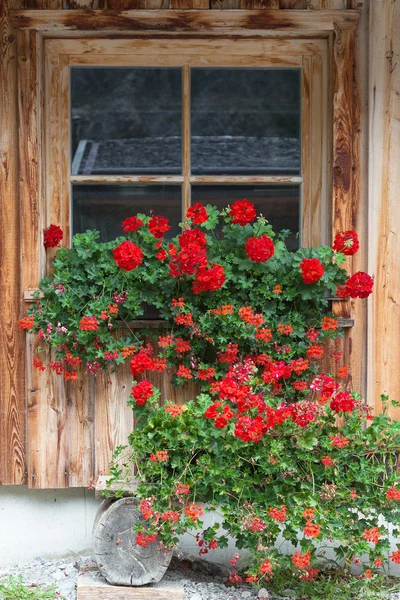 Window with flowers in a alpine hut — Stock Photo, Image