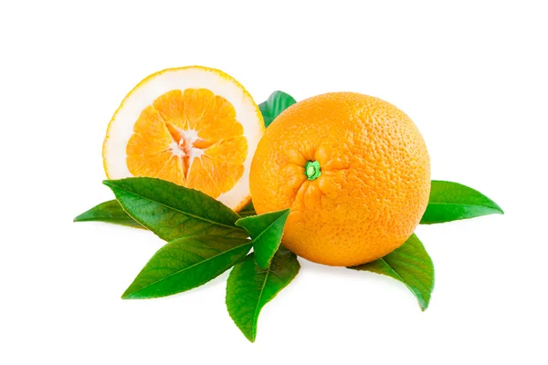 오렌지와 흰색 절연 과일의 절반 — 스톡 사진