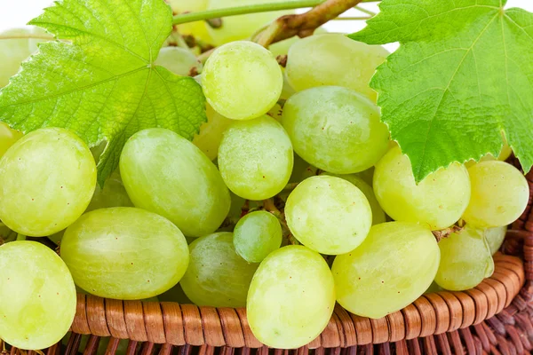 Uvas verdes en primer plano —  Fotos de Stock