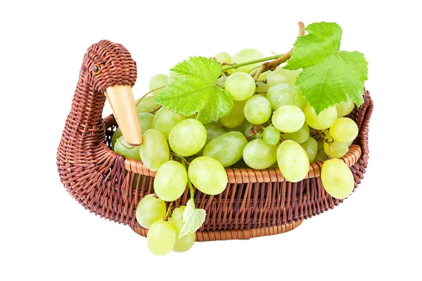 Green Grapes in a basket isolated on white — Stock Photo, Image