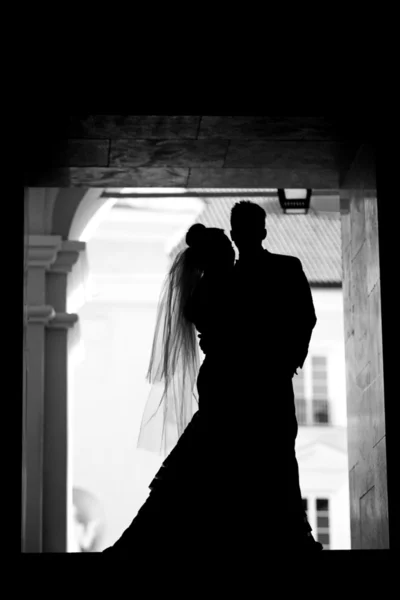 damat ve gelin silüeti