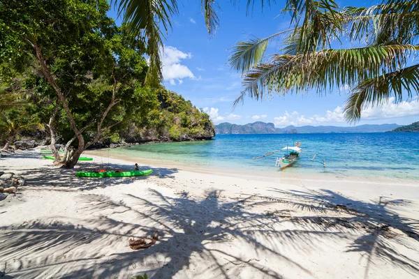 Perfekter Palmenstrand — Stockfoto