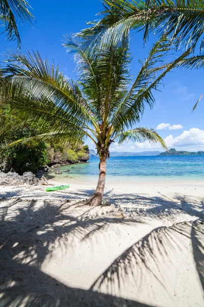 Spiaggia di palma perfetta — Foto Stock