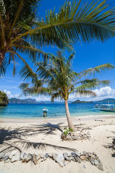 Playa de palma perfecta — Foto de Stock