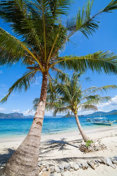 Perfekter Palmenstrand — Stockfoto