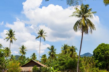 avuç içi gökyüzüne ulaşıyor
