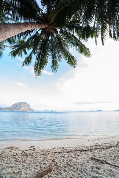 Perfekter Palmenstrand — Stockfoto