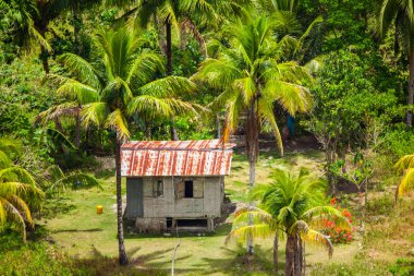 panoramik Filipinler
