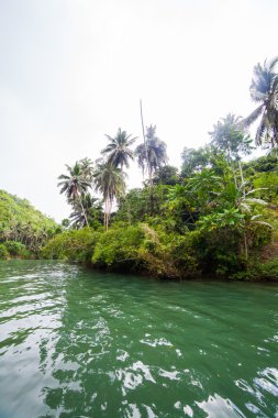 Yeşil nehir banka Filipinler