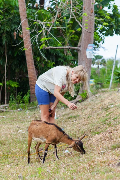 Menina alimentando um pequeno bode — Fotografia de Stock