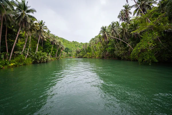 Зеленый берег реки на Филиппинах — стоковое фото