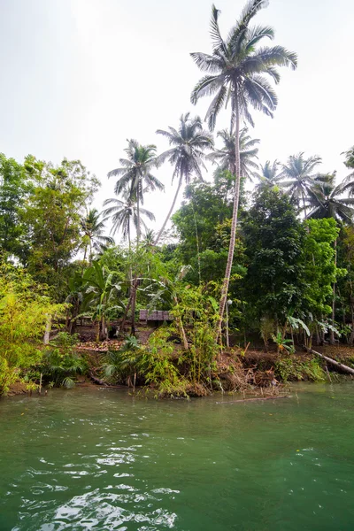 Green river bank in Filipijnen — Stockfoto