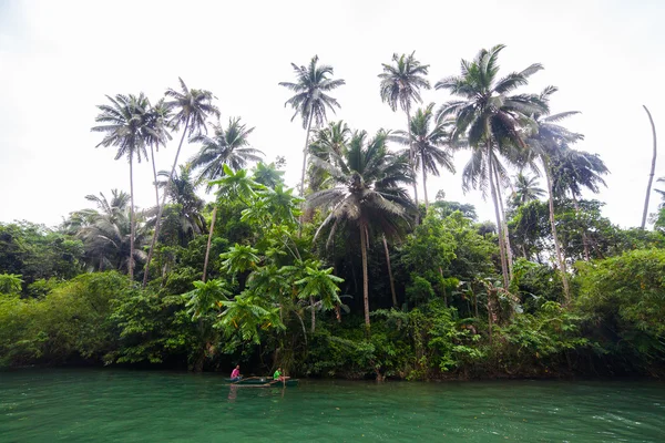 Green river bank in Filipijnen — Stockfoto