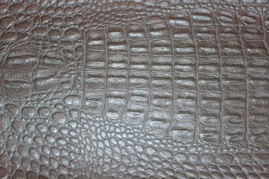 hayvan deri doku arka plan.