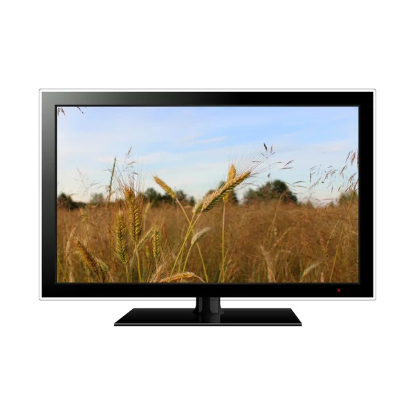 LCD tv s pšeničné pole na obrazovce — Stock fotografie