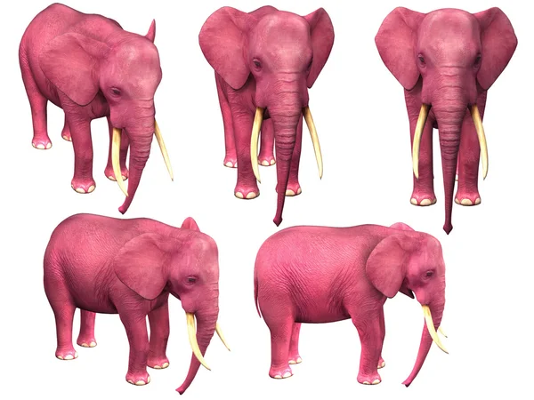 Рожевий слон. Ізольовані на білому — стокове фото
