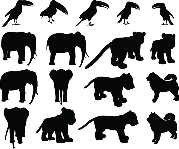 Zoo animals collection — Stock Vector