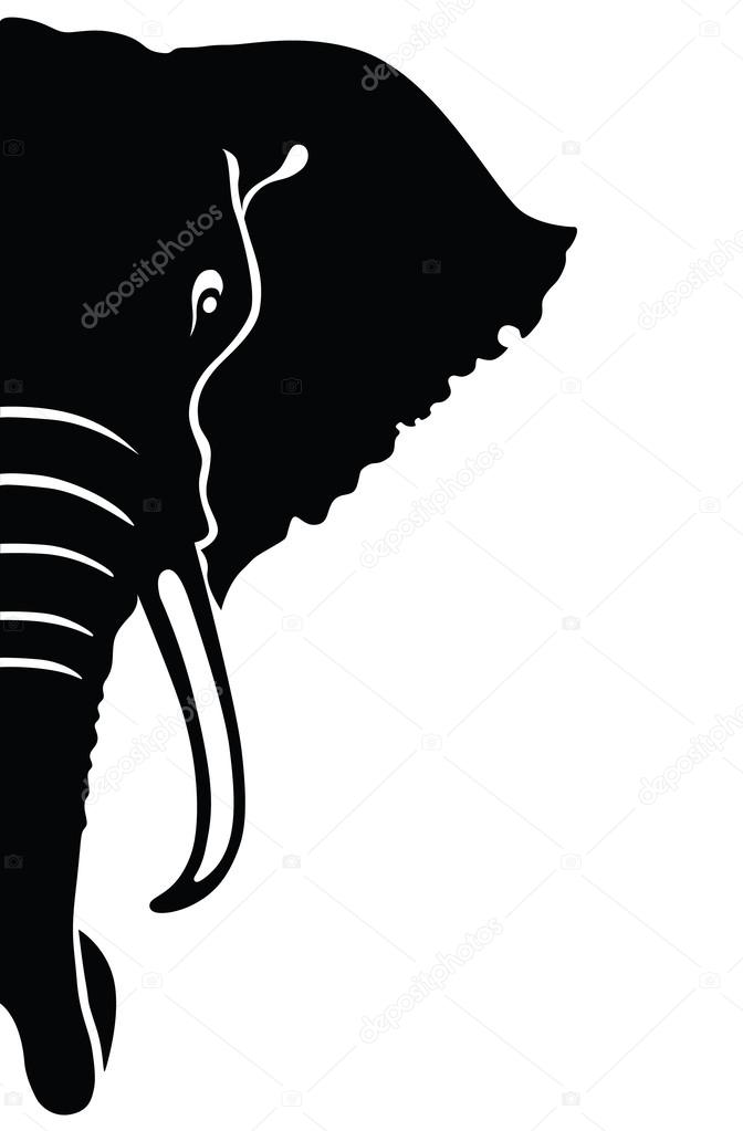 Elephant head. Illustration