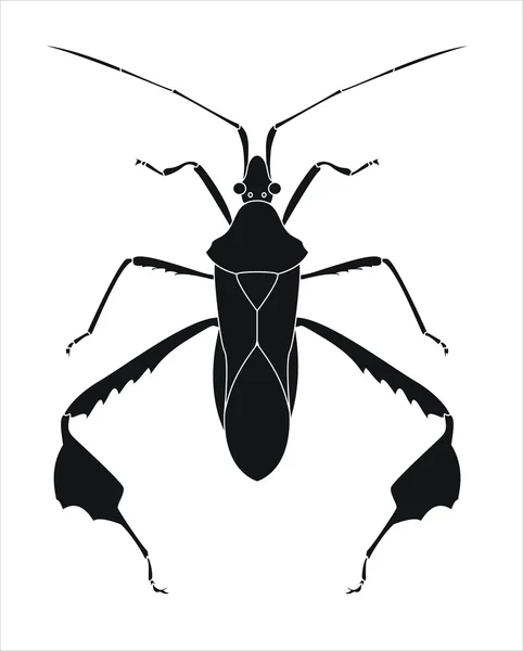 Blad bug — Stockvector