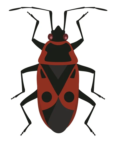 Red Soldier Bug — Stock Vector