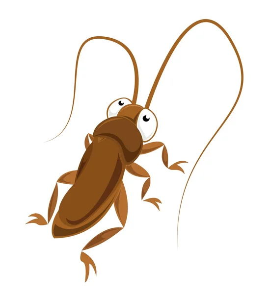Cucaracha de ojos grandes — Archivo Imágenes Vectoriales