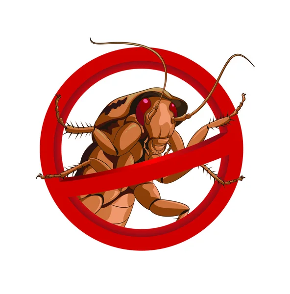 No hay cucaracha — Vector de stock