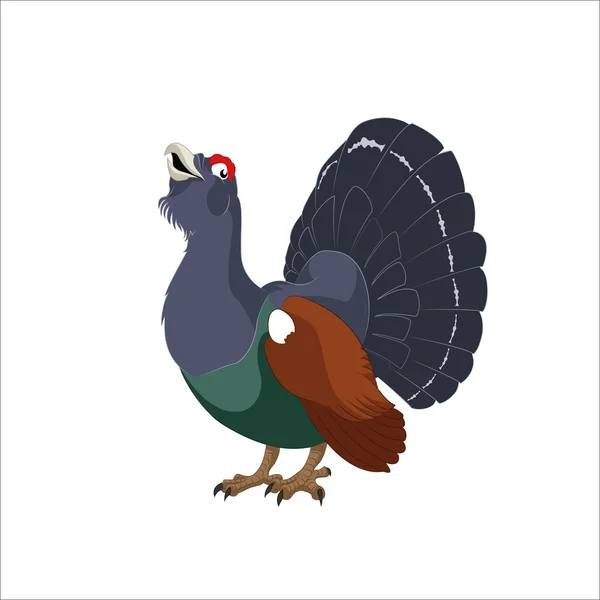 Grouse de madera — Vector de stock