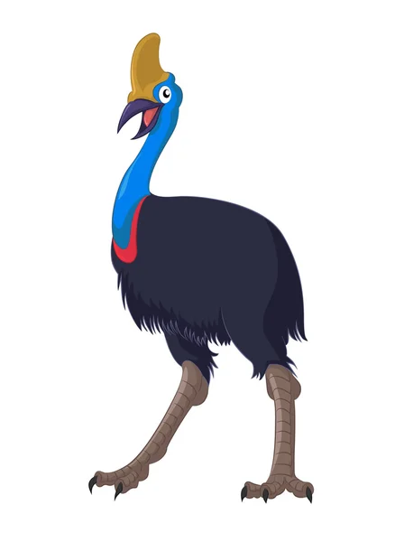 Cassowary — Stock Vector