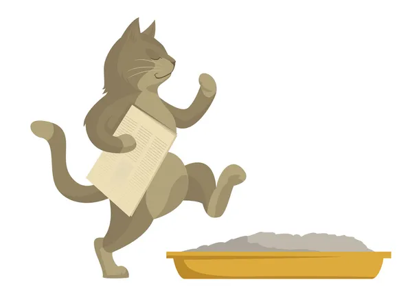 kedi tuvalete gider