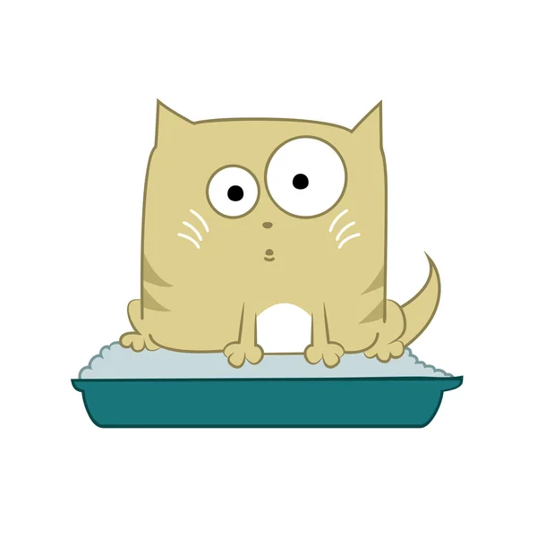 Katze auf Toilette — Stockvektor
