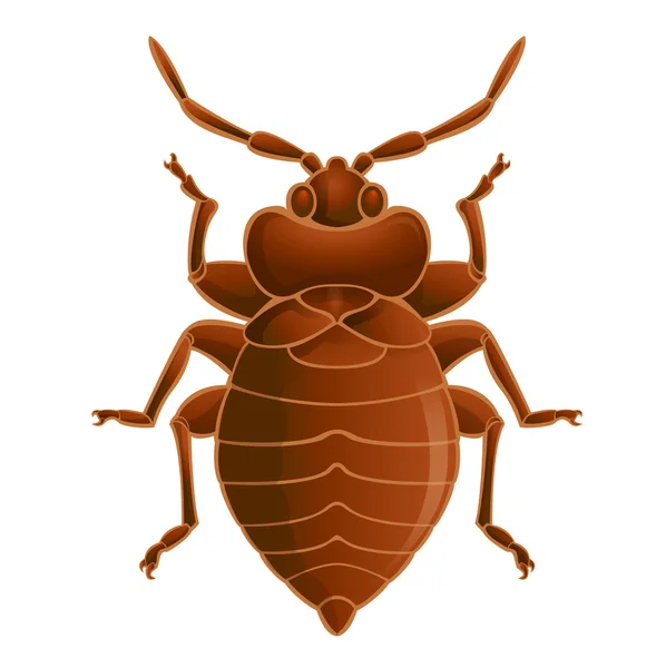 ᐈ Clip art bed bugs stock vectors, Royalty Free bedbug on bed