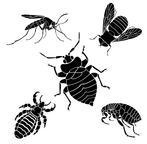 parazitler