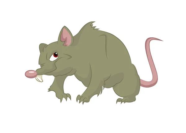 Big rat — Stock Vector