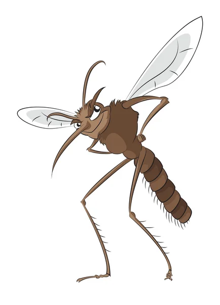 Mosquito mal — Stockvector