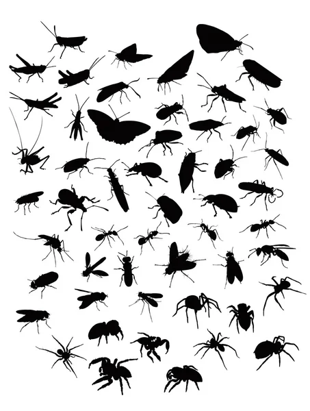 Collection of sillhouettes of insects and spiders — Stock Vector