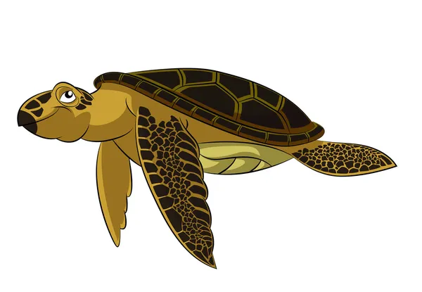 Tengeri teknős — Stock Vector